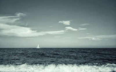 Navetta