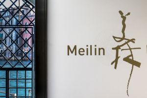 Il mondo di Han Meilin