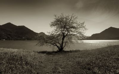 Vento d'aprile