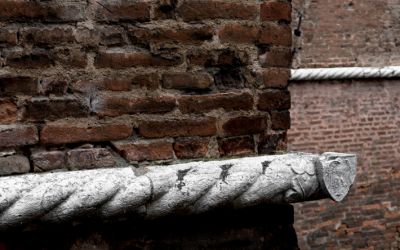 Ferrara