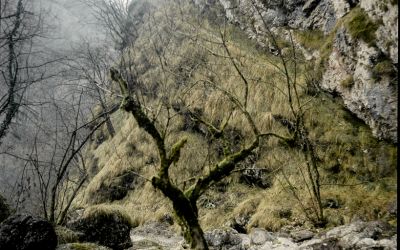 Val Vertova
