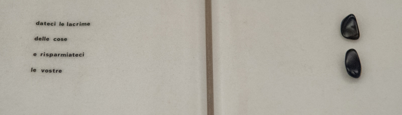  DSC5203