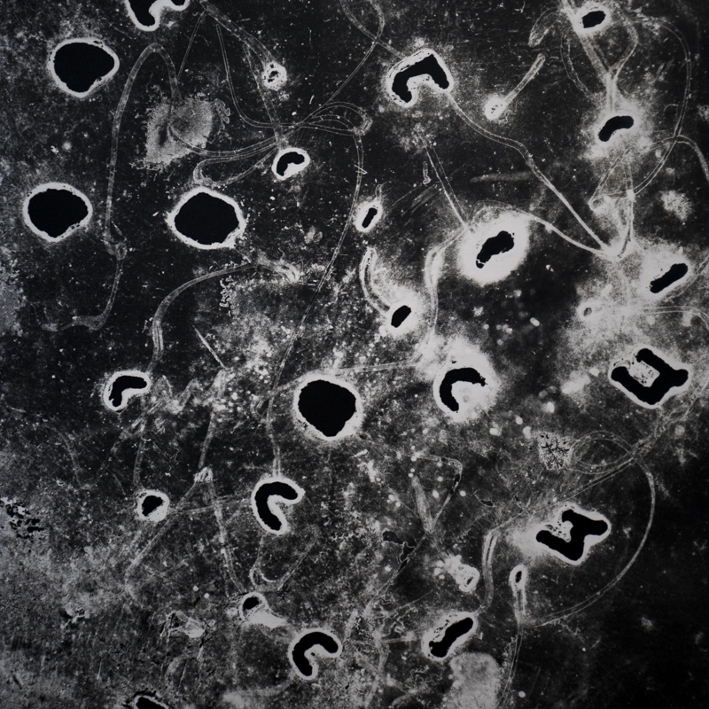 L1310681
