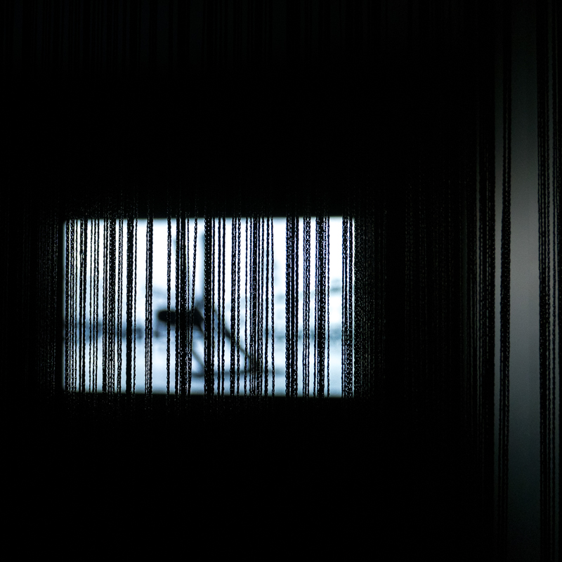 L1260621
