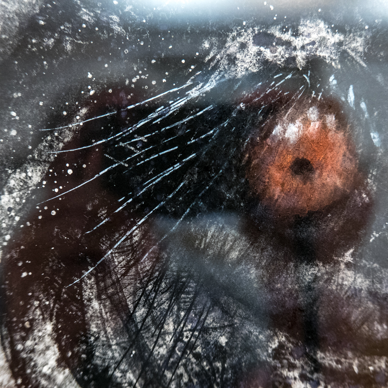 L1030955