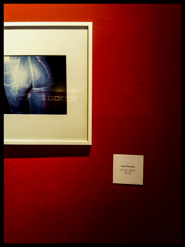 moriyama1