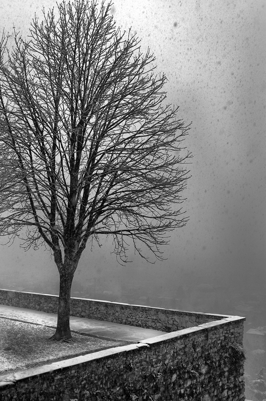 02 neve bg