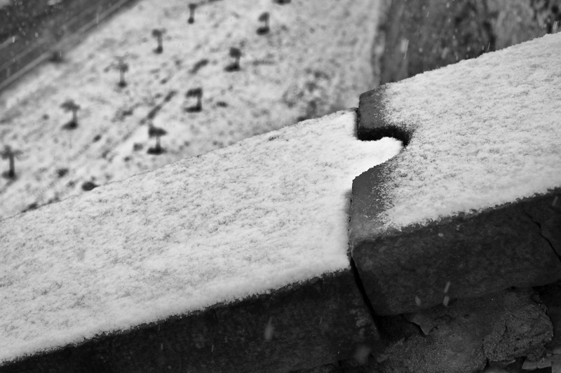 08 neve bg