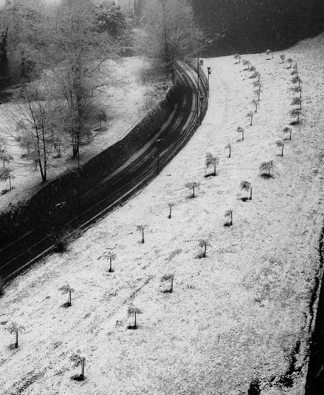 10 neve bg