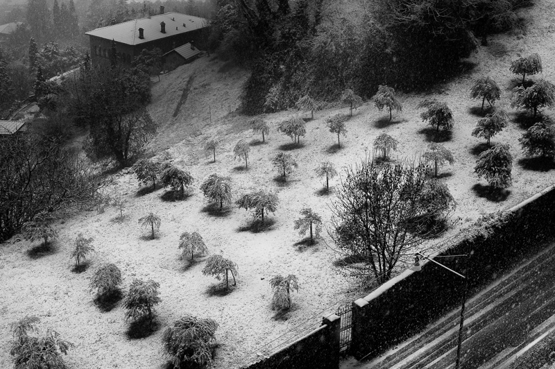 11 neve bg