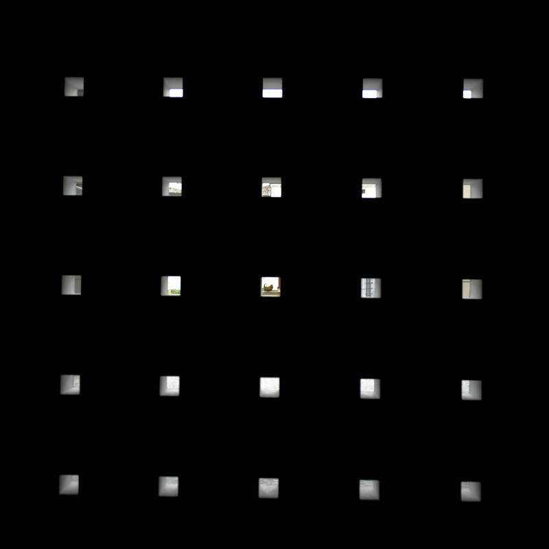 rid DSC5297