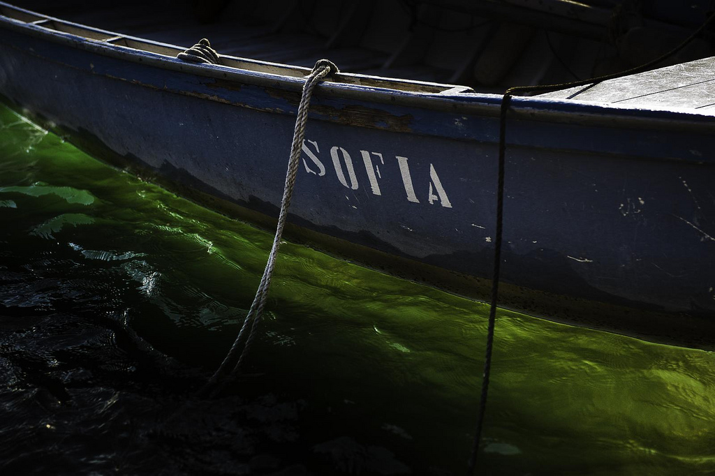 nulla sofia